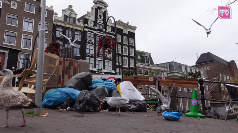 Zelfverheerlijking – Bomaanslagen – Meeuwen – Afval