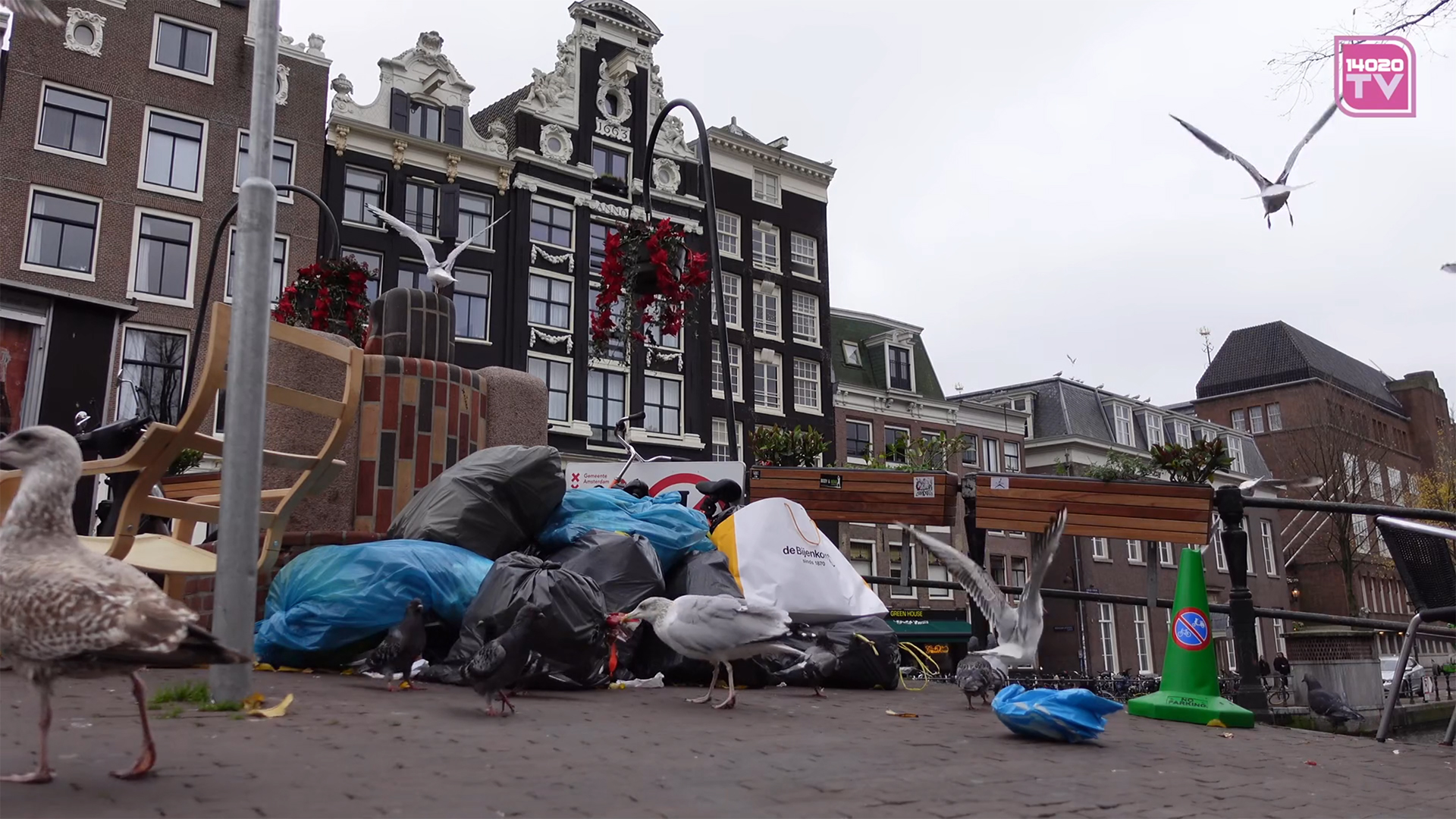 Zelfverheerlijking – Bomaanslagen – Meeuwen – Afval